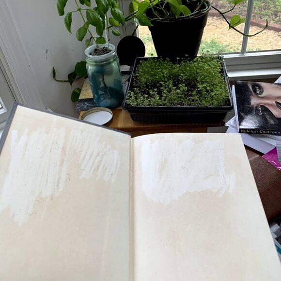 4pc YA Fantasy Mystical Novels Bundle Set - Picture 7 of 12